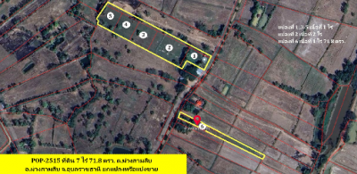 POP-2515 #ขายที่ดินอุบล ที่ดินแบ่งล็อค เนื้อที่ 1-2 ไร่ โซนหลังเมล่อนม่วงสามสิบ ห่างถนนชยางกูร 700 เ