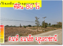 POP-13012569 #��·��Թ�غ� ���Թ 80 ��� �.�Ҵ� �.������ �.�غ��Ҫ�ҹ�