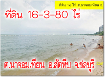 POP-24042568-01 #·Թҧ Թ 16   .Ҩ¹ .ѵպ .ź ԴҴҧ